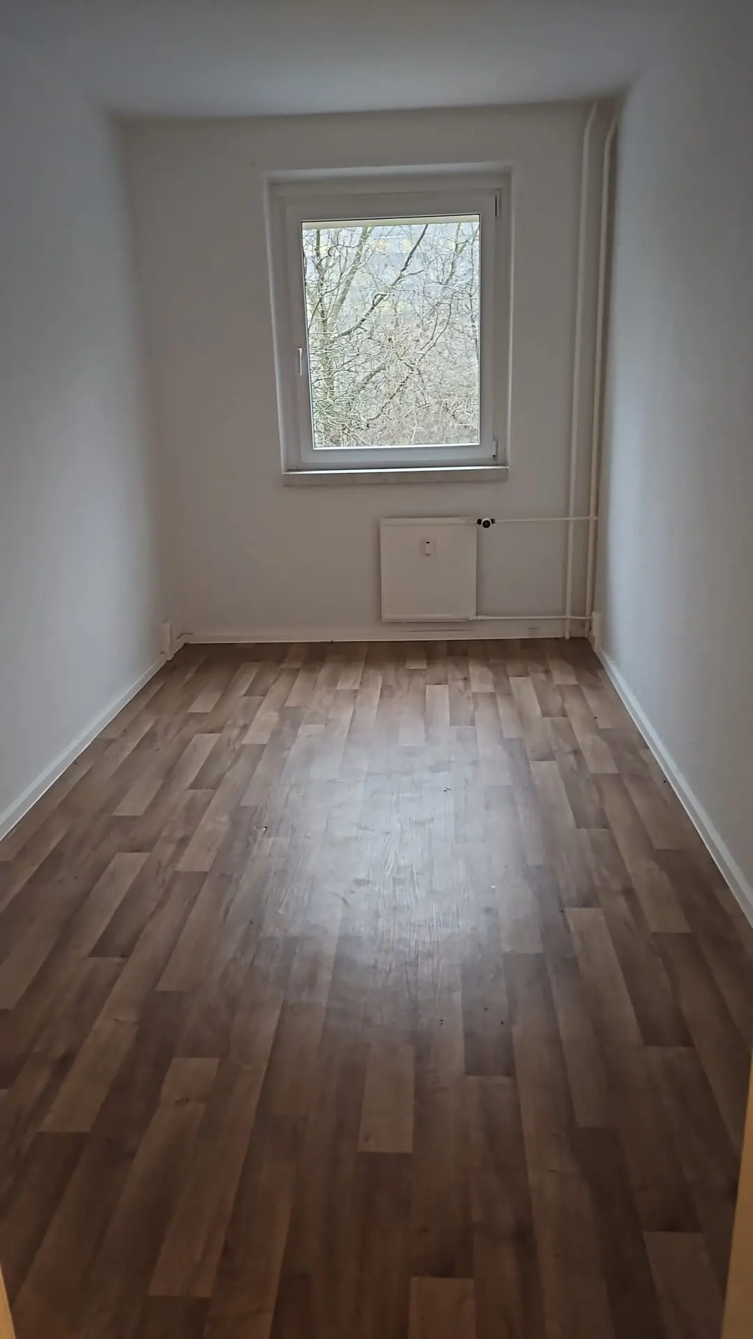 Wohnungsauflösung Berlin - Räumung Besenrein - nachher